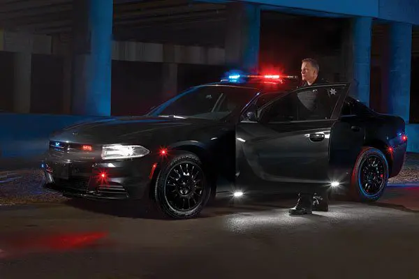 Police officer standing by an open door of a black police car with flashing lights under a bridge at night.